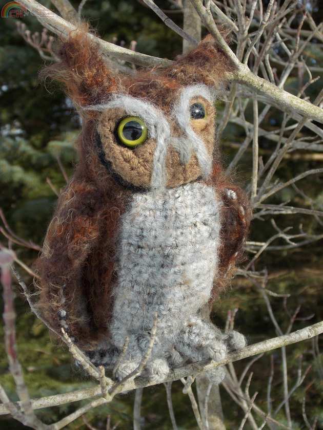 Owl