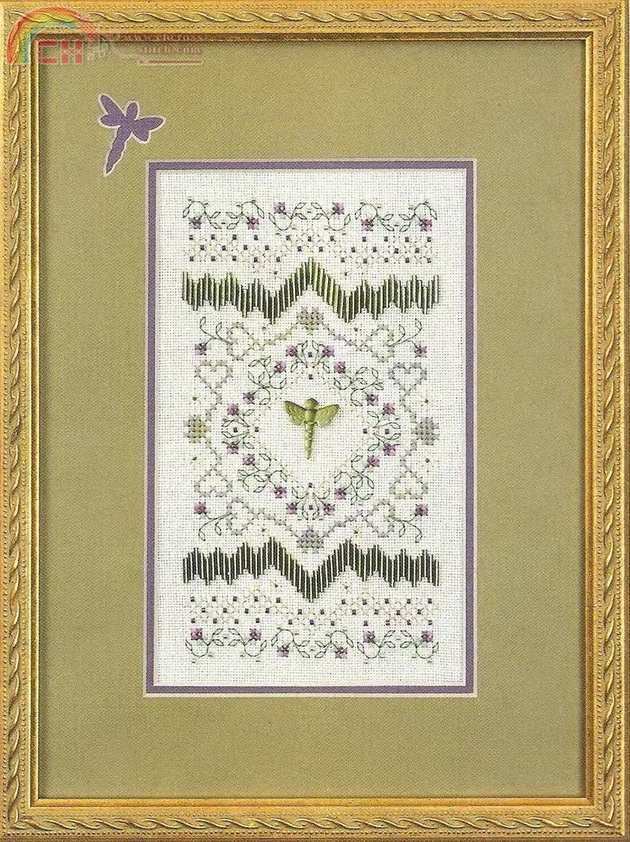 DRAGONFLY SAMPLER.jpg
