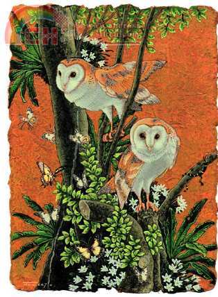 JUN SATO-BARN OWL.jpg
