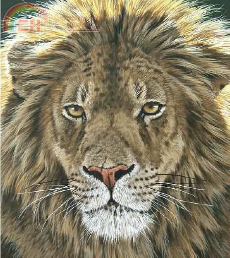 Portrait of a King.JPG