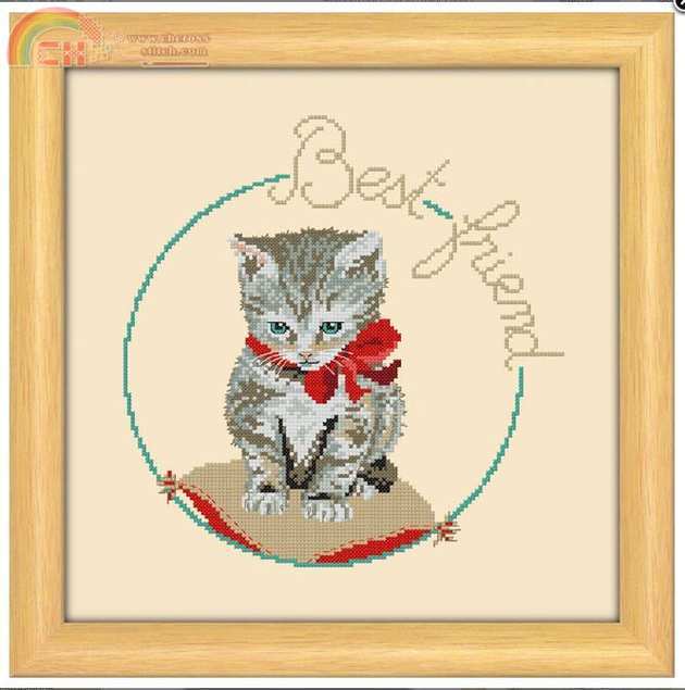 Chaton Best Friend (1).JPG