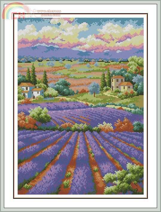 35299 - Fields of Lavende-virt.jpg