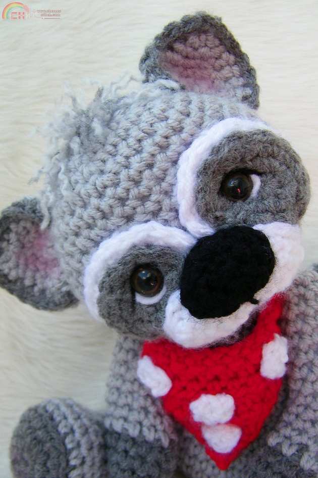raccoon