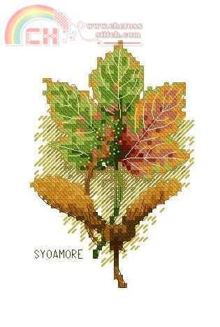 ANCHOR PCE 173 SYCAMORE.JPG