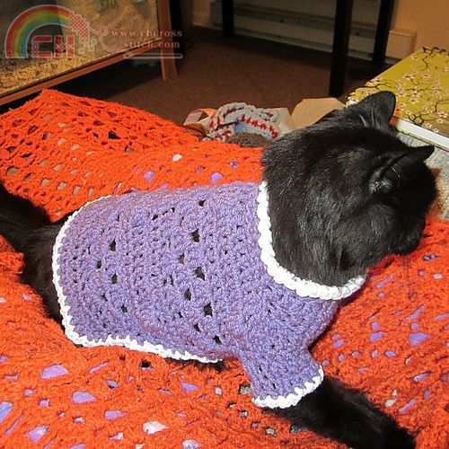 dog or cat sweater