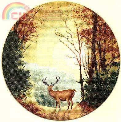 autum_light_01.jpg