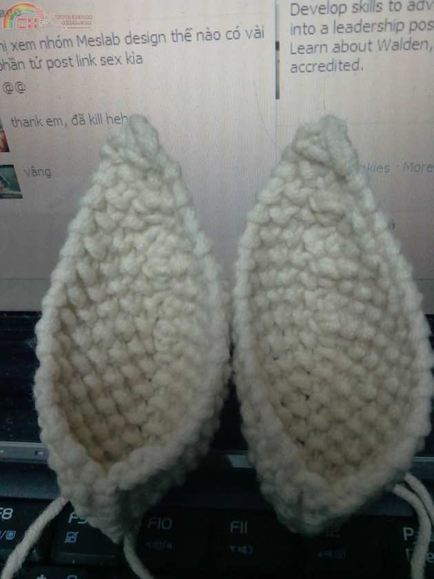 Ears