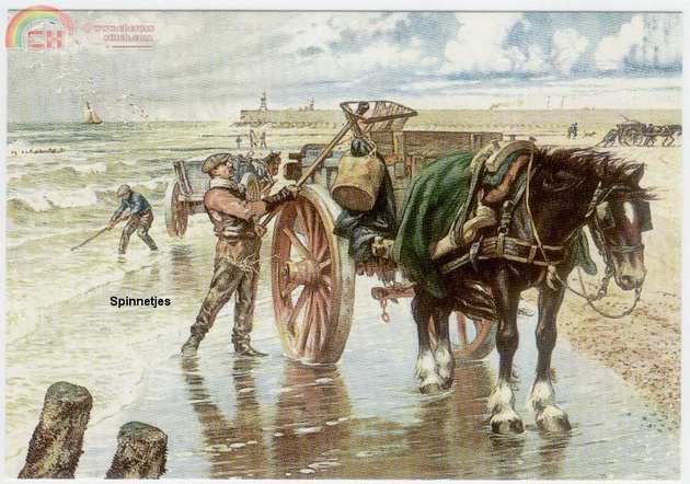 12107Novelle Shell-Fishing.jpg