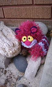 Baby Chesh.jpg