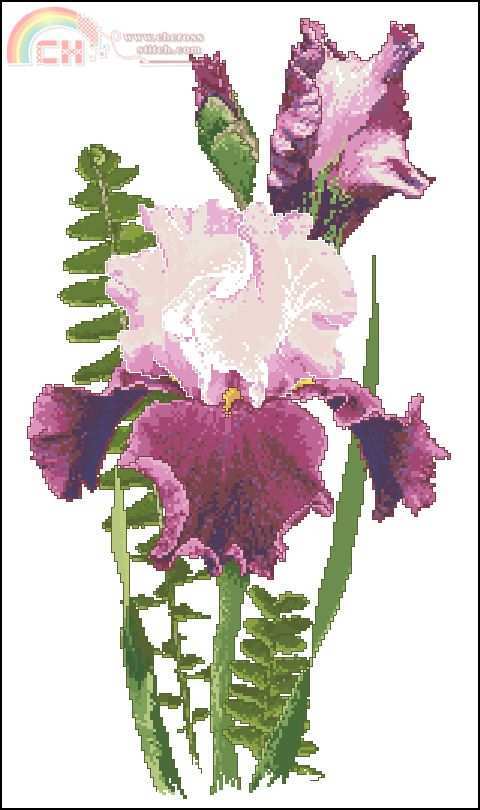 SL38 Gay Parasol.jpg