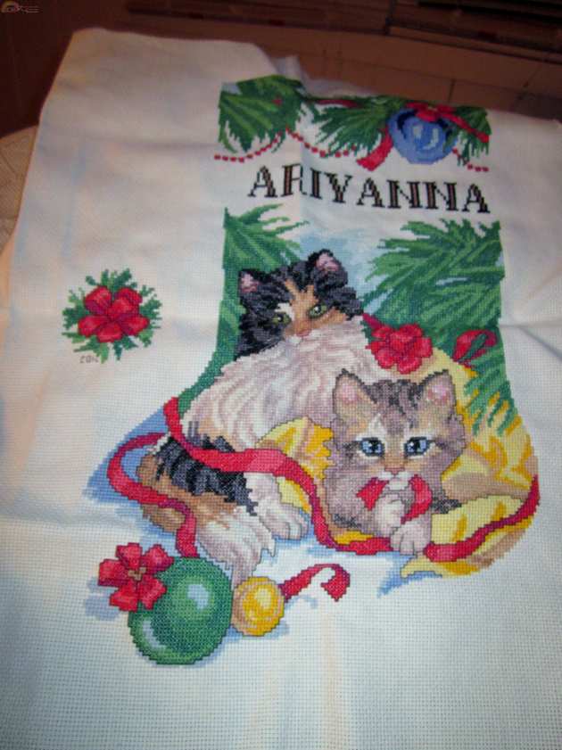 Ariyanna