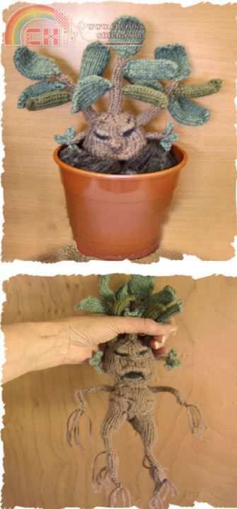 Phoenixknits Mandrake Plant.JPG