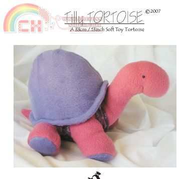 turtle.jpg