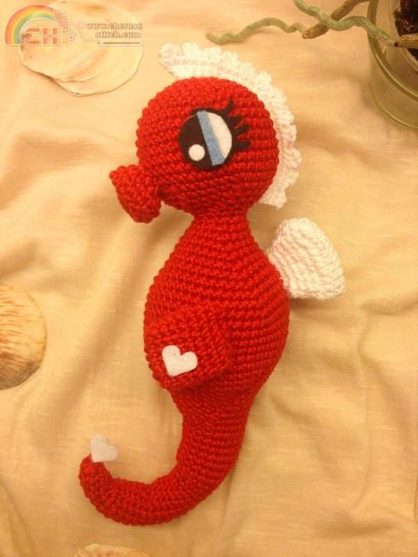 seahorse.jpg