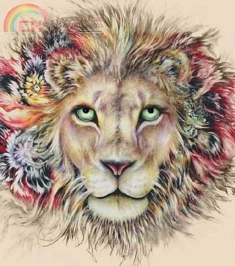 HAEJOM 1130 Rex .JPG