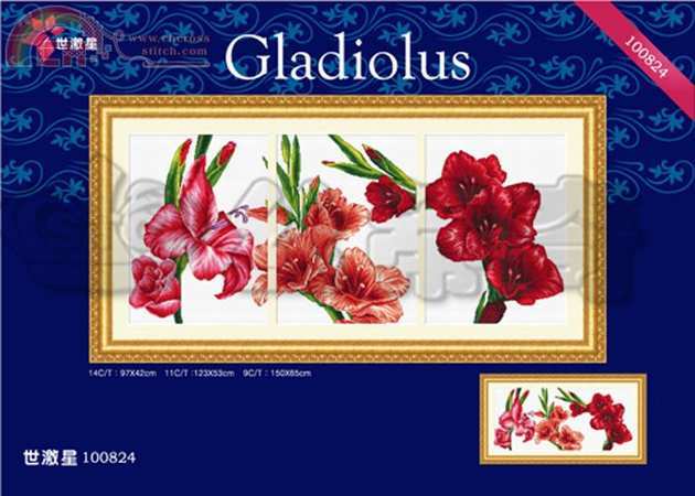 Dome 100824 Gladiolus.jpg