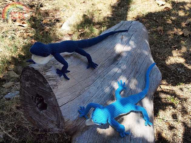 Blue Lizard