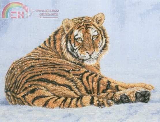 01167 Siberian Snow.jpg