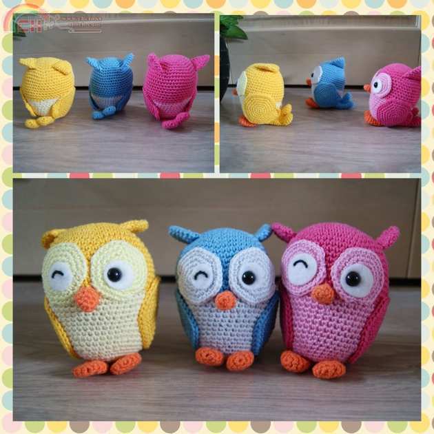 Owl