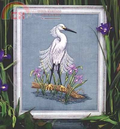 Crossed Wing Collection 43 Snowy Egret.jpg