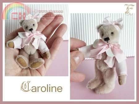 teddy caroline