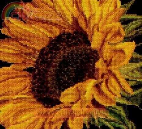 TG-488Sunflower.jpg