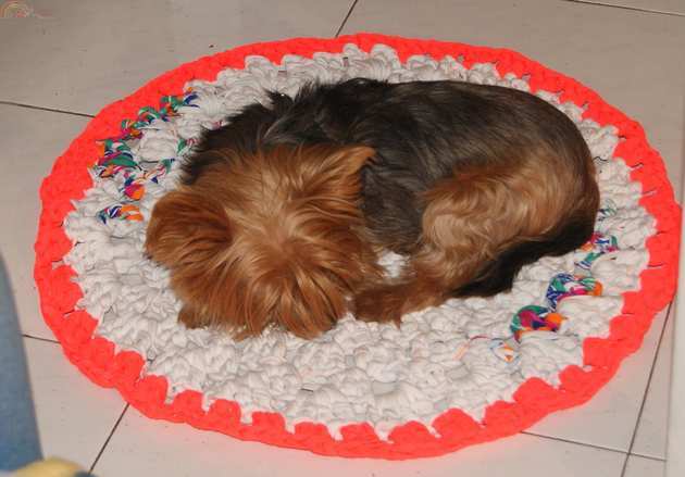 trapillo alfombra.jpg