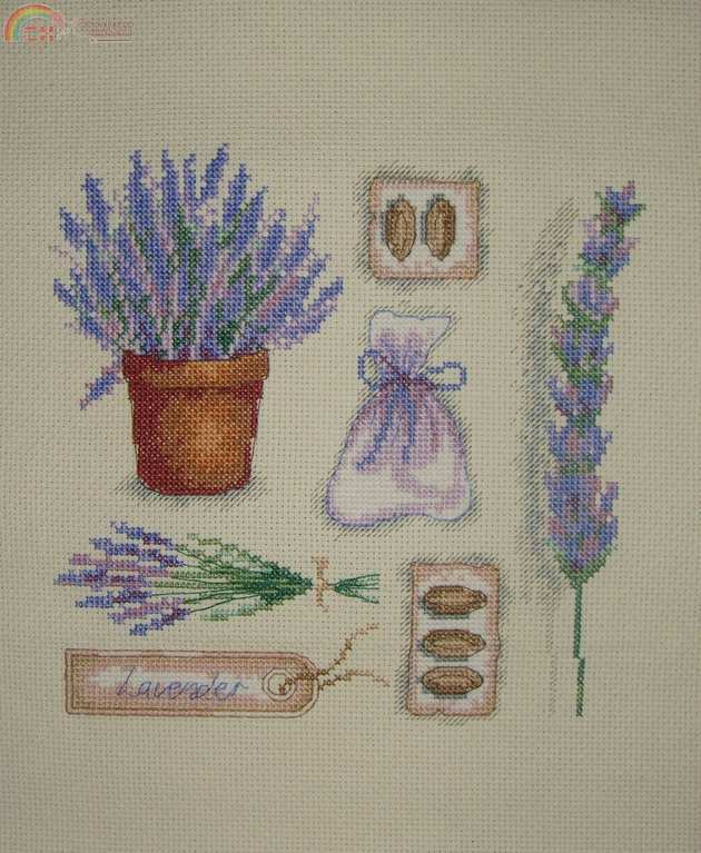 Lavender sampler_Anchor.jpg