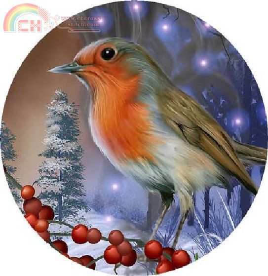 QS Spirit of Winter Robin.jpg