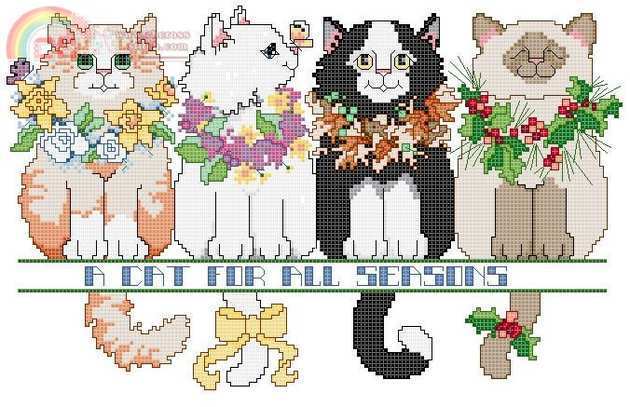 Dimensions - A Cat For All Seasons.JPG