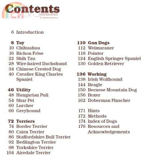 6.JPG