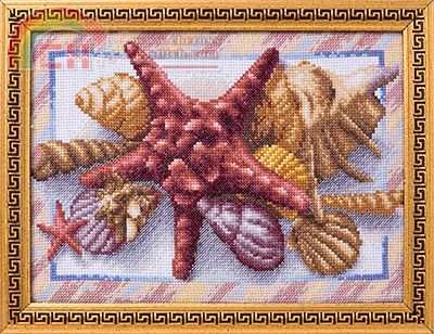 PANNA N-465 Starfish.jpg