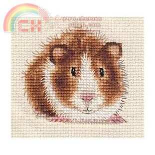 GUINEA PIG3.jpg