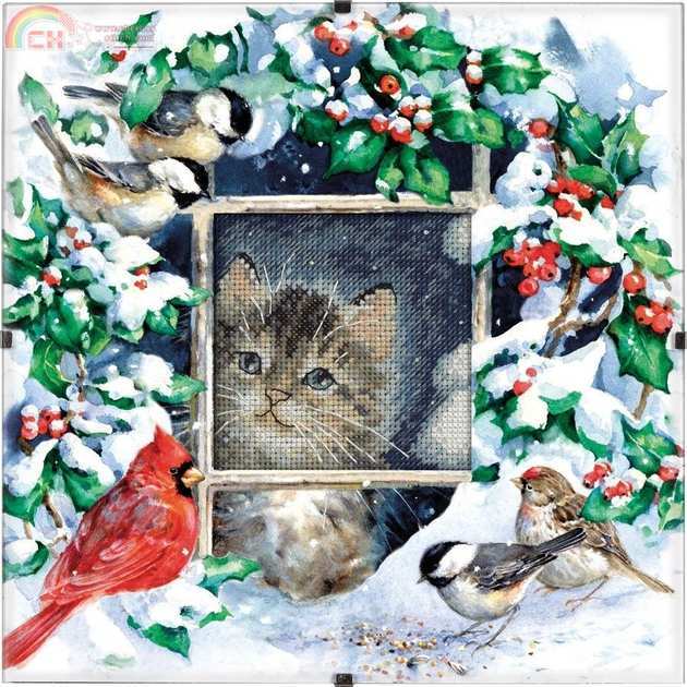 Dim73504 OK  Winter Kitten.jpg