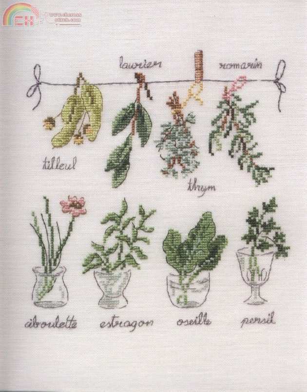 Dans mon jardin (72).jpg