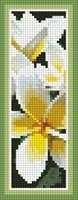 frangipani bookmark.jpg