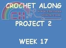 CA P2 W17.JPG