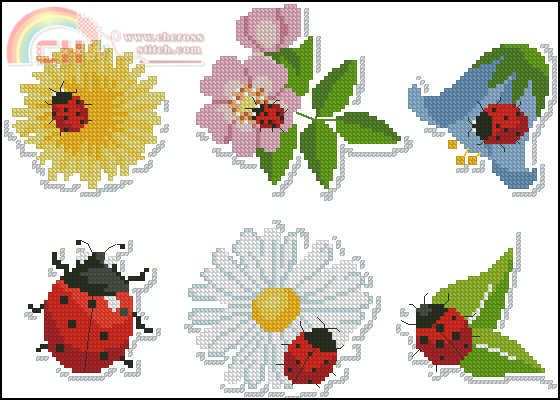 Ladybugs and flowers.jpg