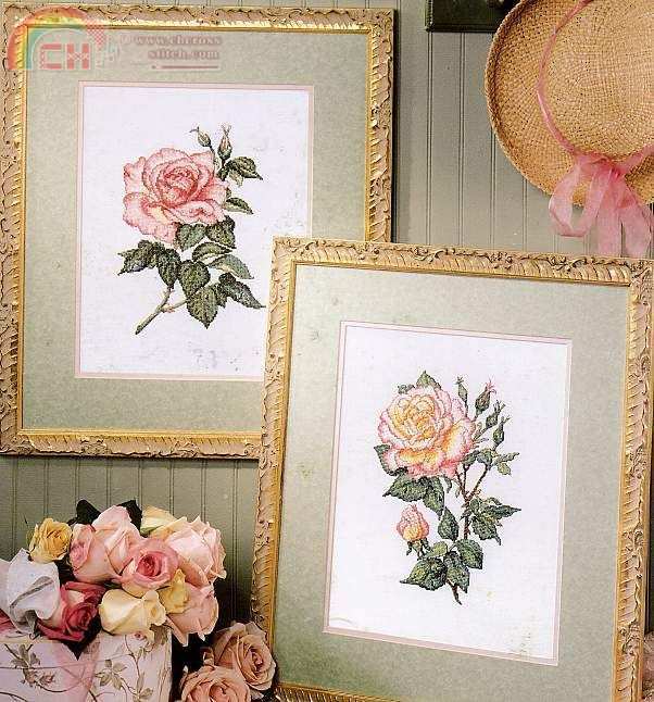 LA 3214 Rose Splendor (9).jpg