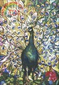Fine Peacock Stained Glass.jpg