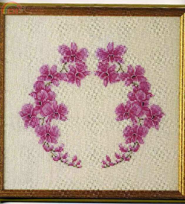 Harmony-Themes Orchids (16).jpg