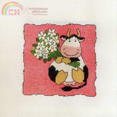 MS - Cow Flower