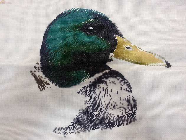 MILLARD DUCK 01