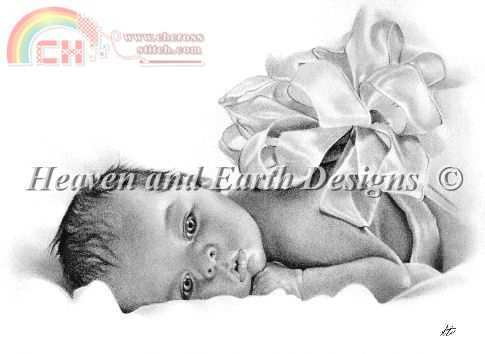 Mini New Born Gift.jpg