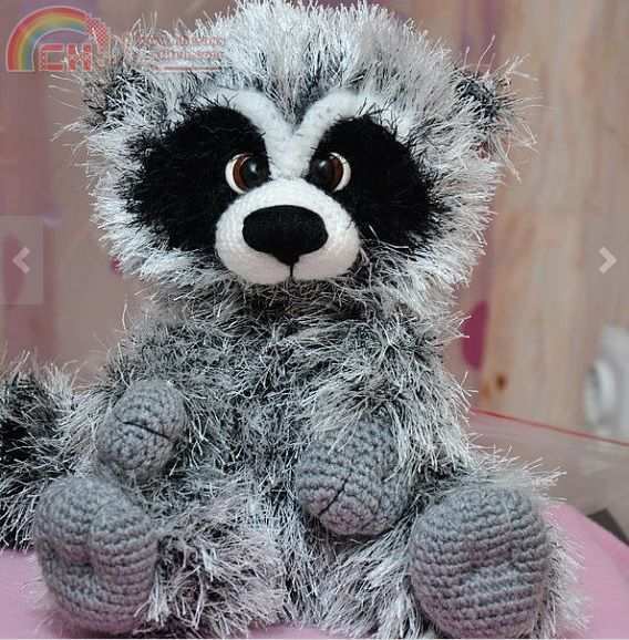 Raccoon