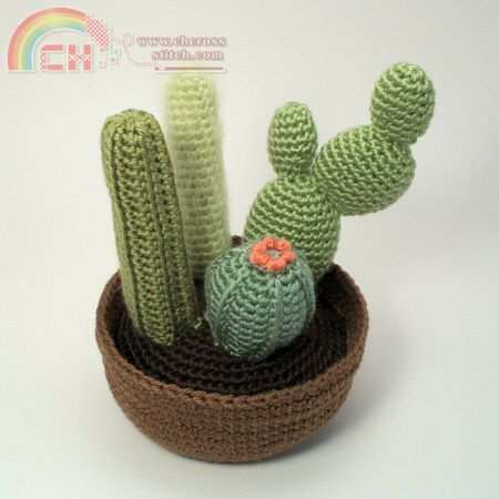 cactus_collection2b.jpg