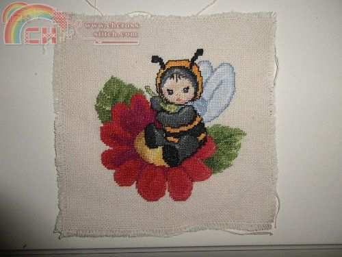 040208csq89xxhx7is81f9.jpg