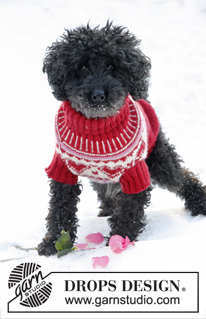Valentino Dog Sweater Knitting Pattern