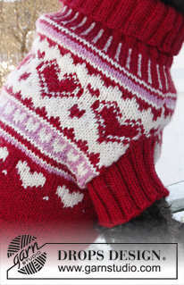 Valentino Dog Sweater Knitting Pattern