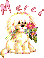 chien1.jpg